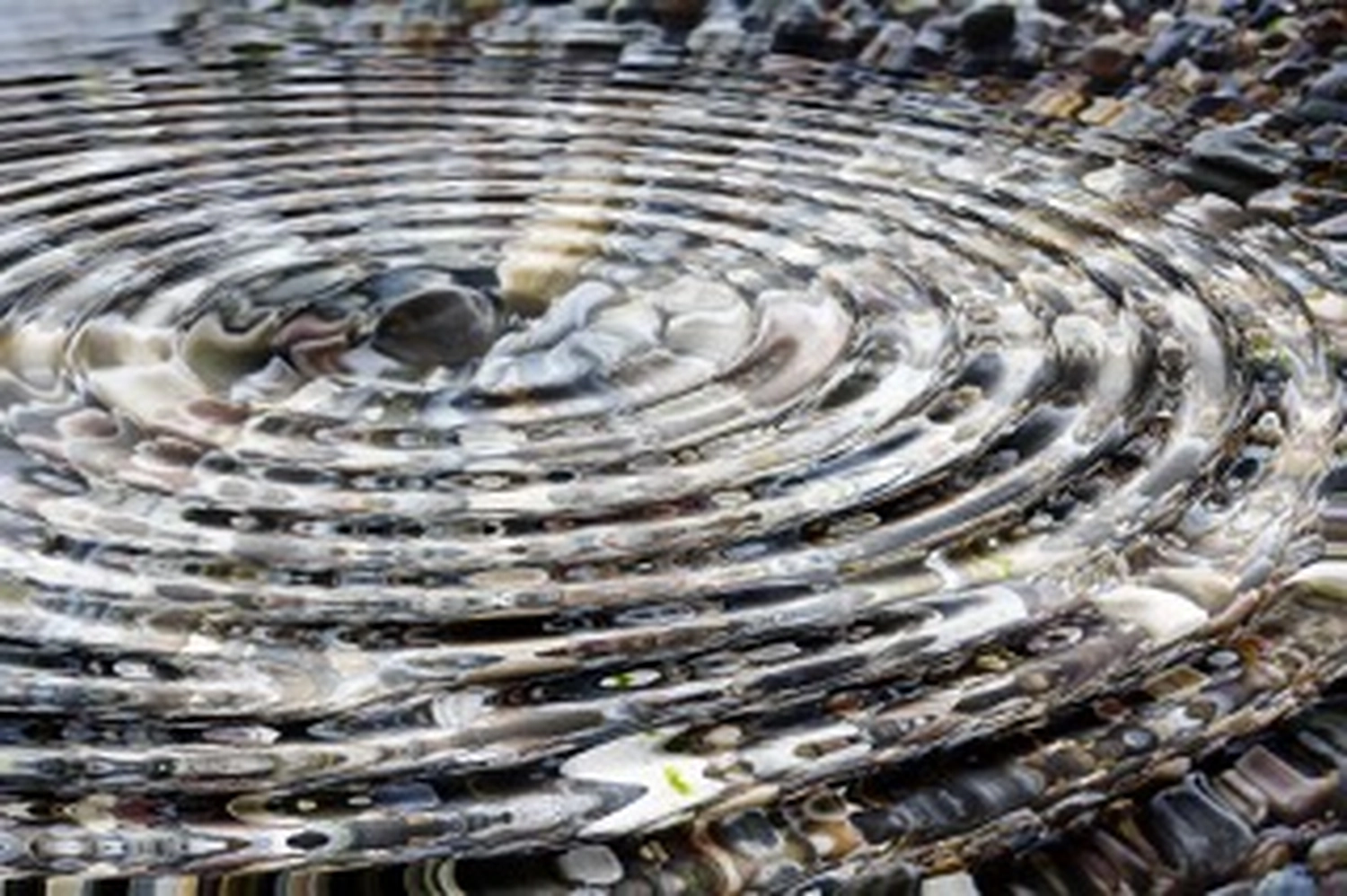 Wirtschaftsverein Apollon - Projektleitung von Konvaleszenz - Konzentrische Wellen breiten sich auf klarem Wasser mit untergetauchten und umgebenden Kieselsteinen aus.
